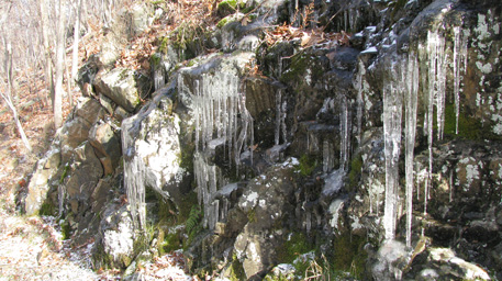 Icicles Hanging from Rock