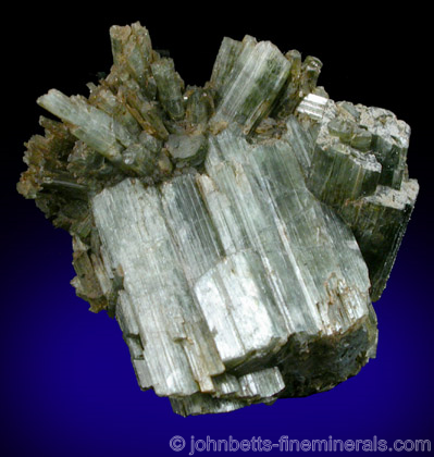 Parallel Actinolite Crystals