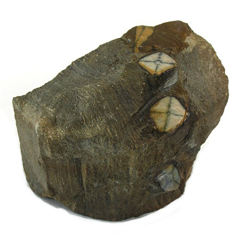 Chiastolite in Matrix