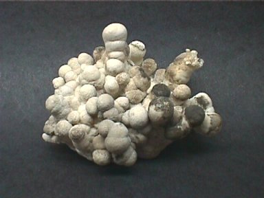 Tuberose Blobs of Aragonite