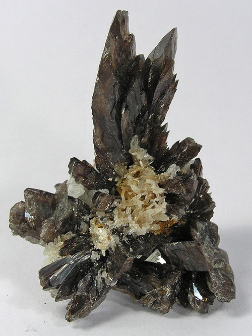 Axinite-(Mn) Elongated Cluster