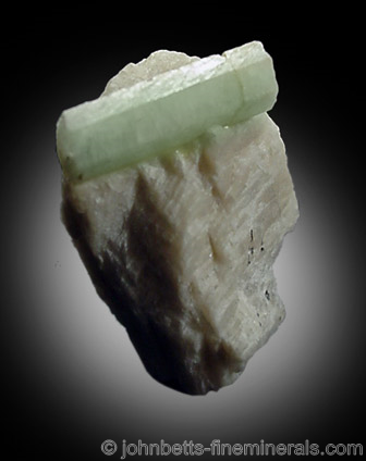 Pale Green Beryl in Albite