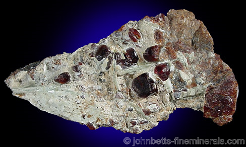 Chondrodite Crystals in Serpentine
