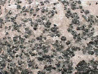 Franlinite Grains in Calcite