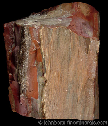Petrified Wood Chunk