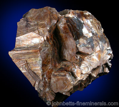 Bronze Phlogopite