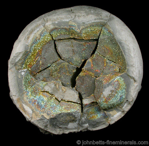 Rainbow Pyrite Concretion