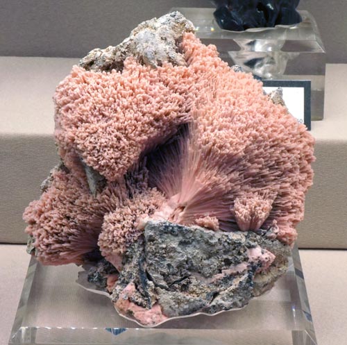 Radiating Pink Rhodochrosite Crystals