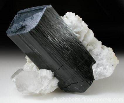 Schorl Crystal in Albite & Quartz