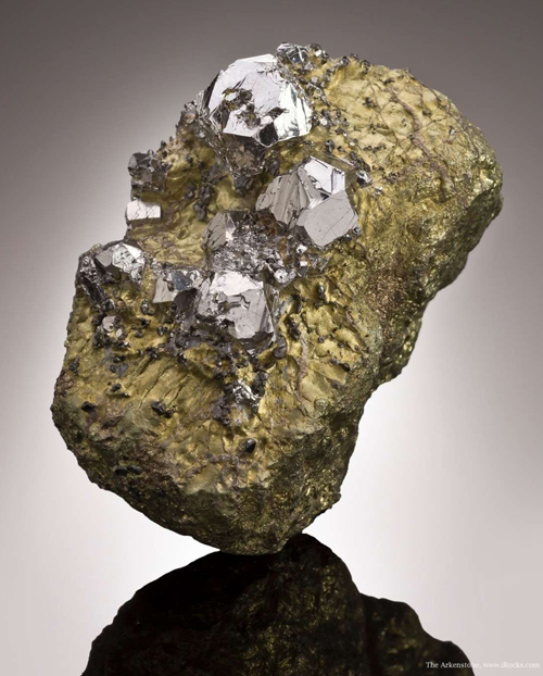 Several Sperrylite Crystals on Chalcopyrite