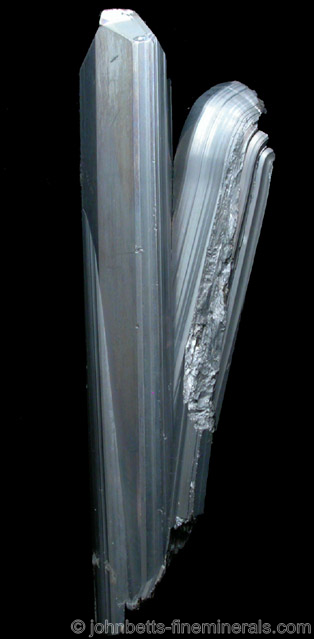 Twinner Stibnite with Curved End