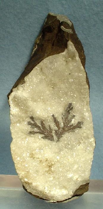 Sylvanite Dendrite on Calcite