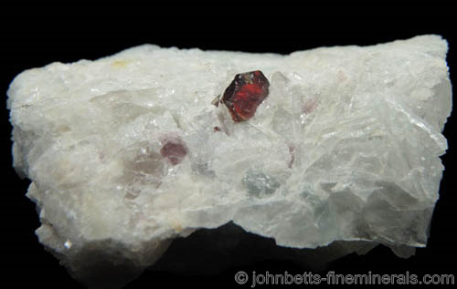 Tantalite-(Fe) with Cassiterite, Albite and Muscovite - RARE15-115