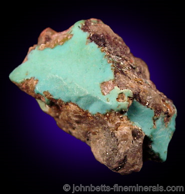 Turquoise Nugget in Matrix