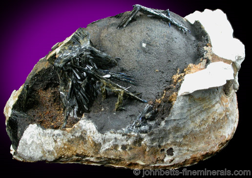 Vivianite in Fossilized Clam