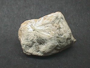 Wollastonite: Mineral information, data and localities.