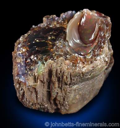 Opalized Wood