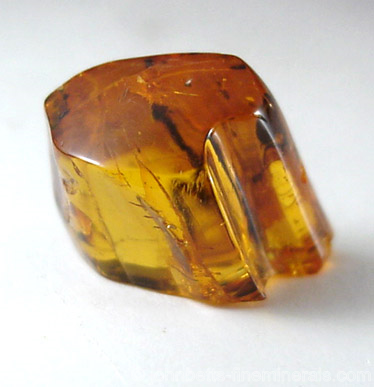 Small Polished Amber from Baltic Sea, near Gdansk, Poland
