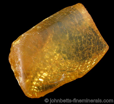 Yellow Amber from Baltic Sea, near Gdansk, Poland