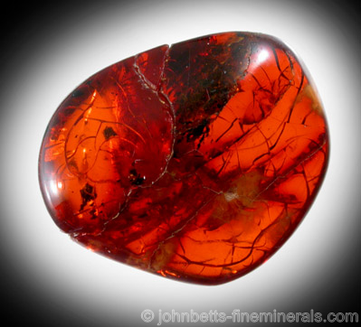 Red Amber from Kaliningrad, Russia