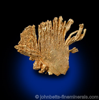Fan Shaped Gold Formation from Round Mountain Mine, Nye County, Nevada