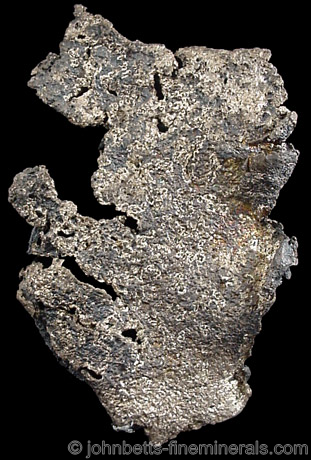 Silver Leaf from Siscoe Metals Ltd. Mine, Obrien, Ontario, Canada