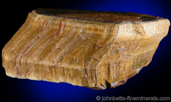 Rough Tiger's Eye Cross Section from Headwaters of the Orange River, Griqualand West, South Africa