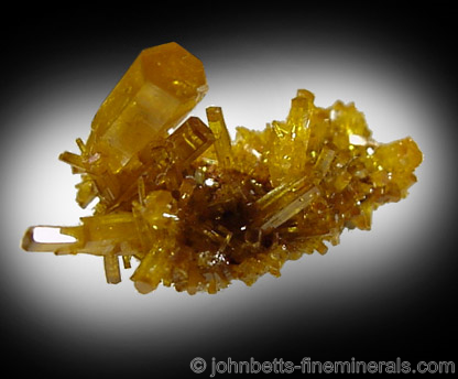 Lustrous Mimetite Crystals from Guatomo Mine (