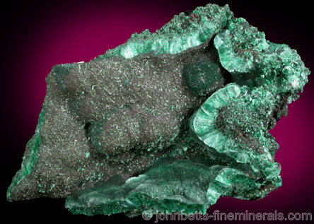 Fibrous Malachite from Copper Queen Mine, Bisbee, Cochise County, Arizona.