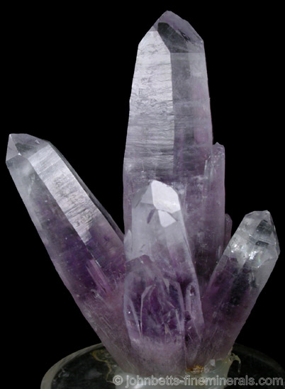 Elongated Amethyst Cluster from Amatitlan, Guerrero, Mexico.
