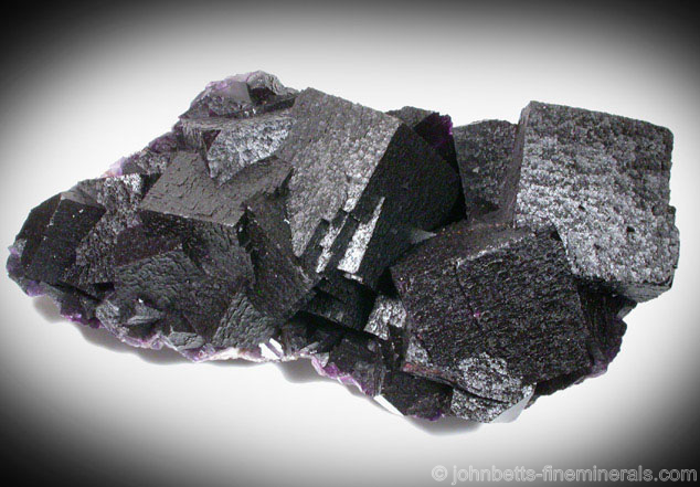 Dark Purple Fluorite from Hill-Ledford Mine, Cave-in-Rock District, Hardin County, Illinois.