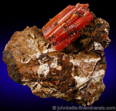 Crocoite Crystal on Matrix from Adelaide Mine, Zeehan District, Tasmania, Australia.