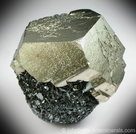 Classic Pyrite from Elba from Elba Island, Livorno, Italy.