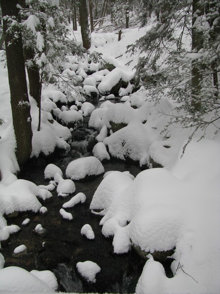 Powdery Snow from Stony Brook, Harriman State Park, Orange Co., New York