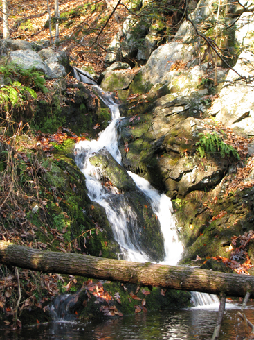 Small Waterfalls from Havemeyer Falls, Mianus River Gorge, Bedford, Westchester Co., New York