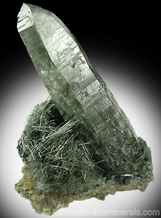 Actinolite Needles with Quartz from Alchuri, Shigar Valley, northeast of Skardu, Gilgit, Pakistan
