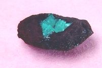 Blue Cuproadamite from Ojuela Mine, Mapimi, Durango, Mexico