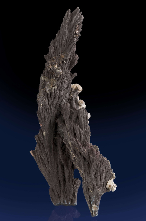 Arborescent Alabandite Crystals from Zinc Corporation Mine, Broken Hill, Yancowinna County, New South Wales, Australia