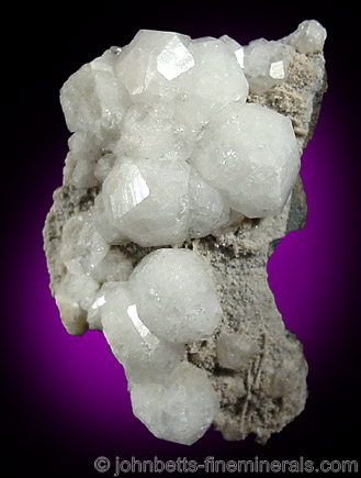 Analcime Crystal Cluster from Upper New Street Quarry, Paterson, Passaic County, New Jersey