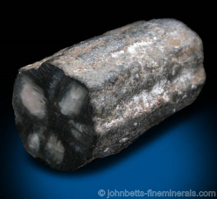 Primsatic Polished Chiastolite from Bimbowrie Station, Olary Province, South, Australia