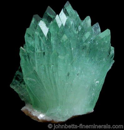 Green Apophyllite Spray from Pashan Hill Quarry, Poona District, Maharashtra, India
