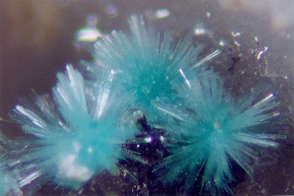 Radiating Spray of Aurichalcite Micros from Loudville Lead Mine, Easthampton, Hampshire Co., Massachusetts, USA