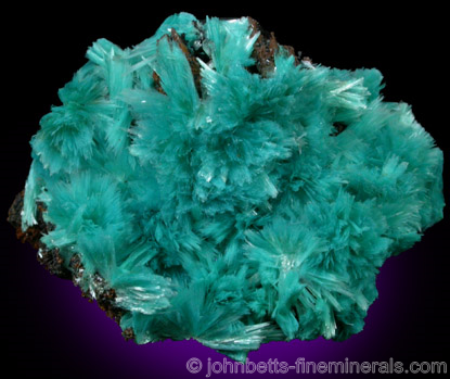 Feathery Aurichalcite from 79 Mine, Gila County, Arizona