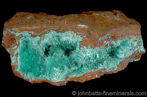 Aurichalcite Lining Cavity from Mine Ojuela, Mapimi, Durango, Mexico