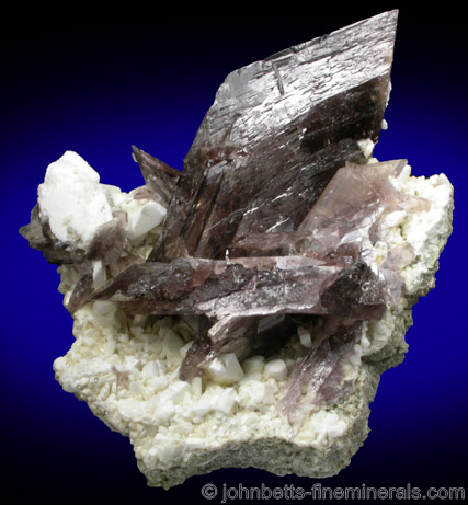 Pointed Axinite Crystal from Alchuri, Shigar Valley, Baltistan, Northern Areas, Pakistan