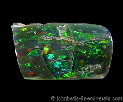 Black Opal from Virgin Valley, Humboldt County, Nevada