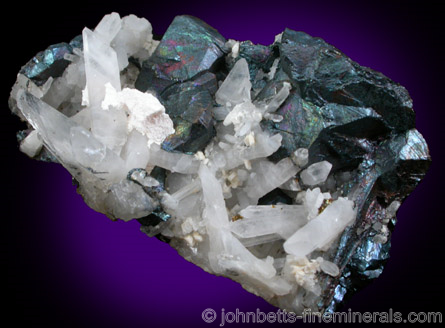 Bornite Crystals with Quartz from Bleida Copper Mine, Anti-Atlas Mountains, Morocco