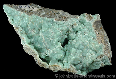 Botryoidal Blue-green Apatite from Kovdor massif, Kola Peninsula, Russia