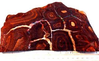 Boulder Opal from Queensland, Australia