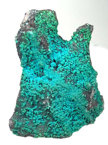 Drusy Brochantite Crystal Plate from Kolwezi, Western area, Katanga Copper Crescent, Katanga (Shaba), Democratic Republic of Congo (Zaire)